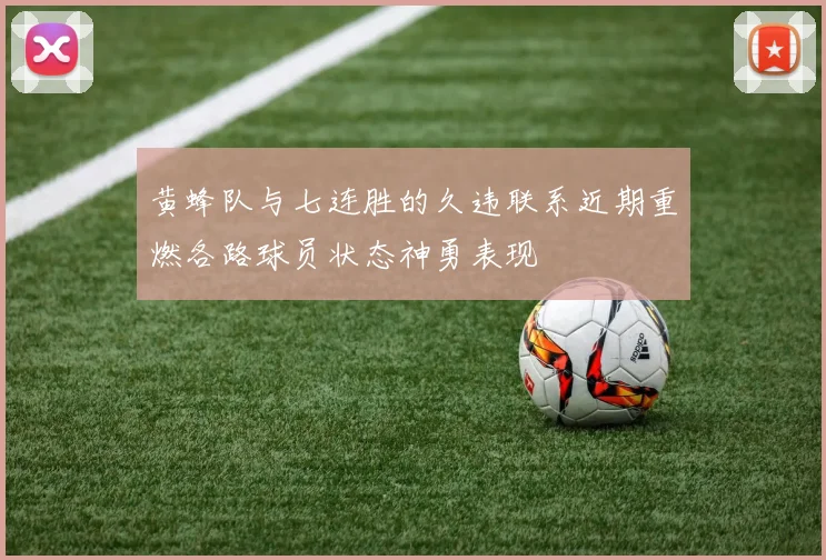 黄蜂队与七连胜的久违联系近期重燃各路球员状态神勇表现
