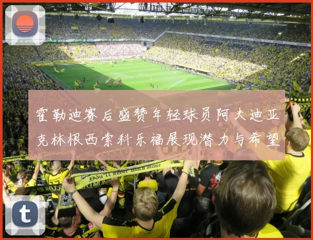 霍勒迪赛后盛赞年轻球员阿夫迪亚克林根西索科乐福展现潜力与希望